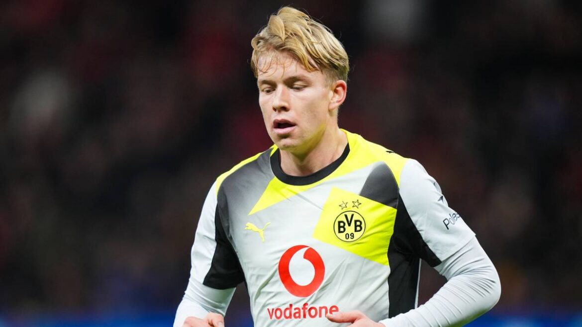 Picture of Daniel Svensson