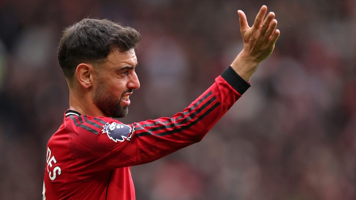 Picture of Fernandes