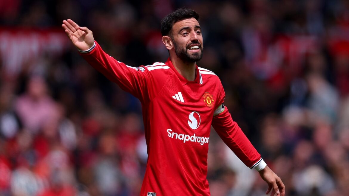 Picture of Fernandes