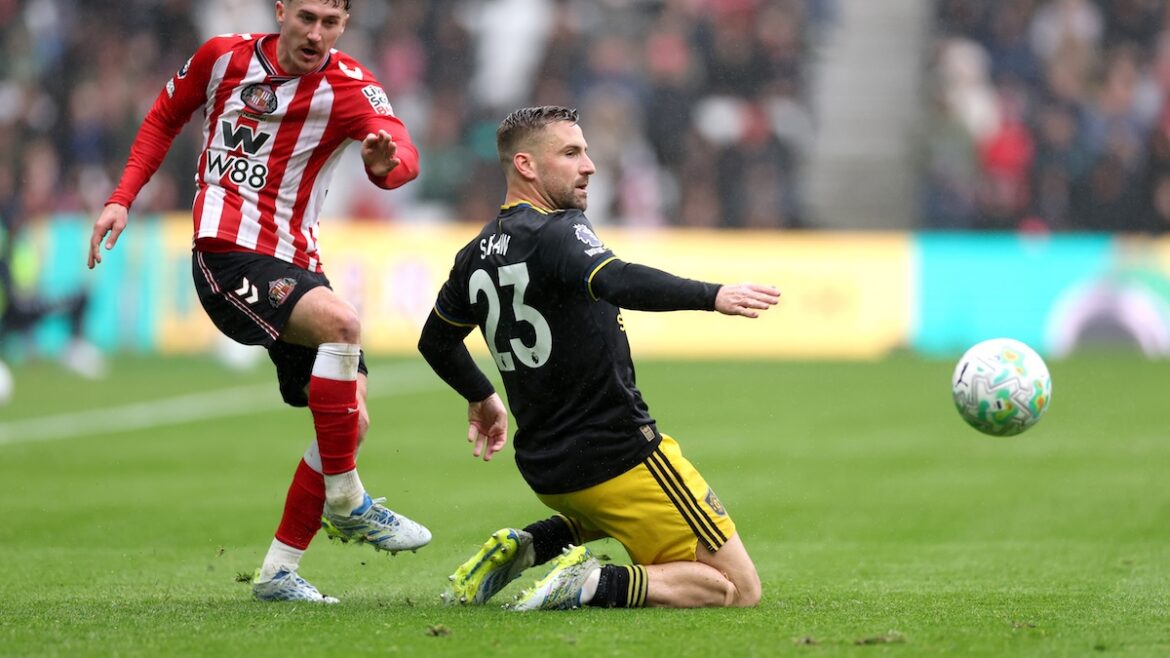 Picture of Luke Shaw