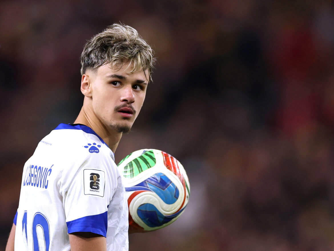 Pic of Kerim Alajbegovic