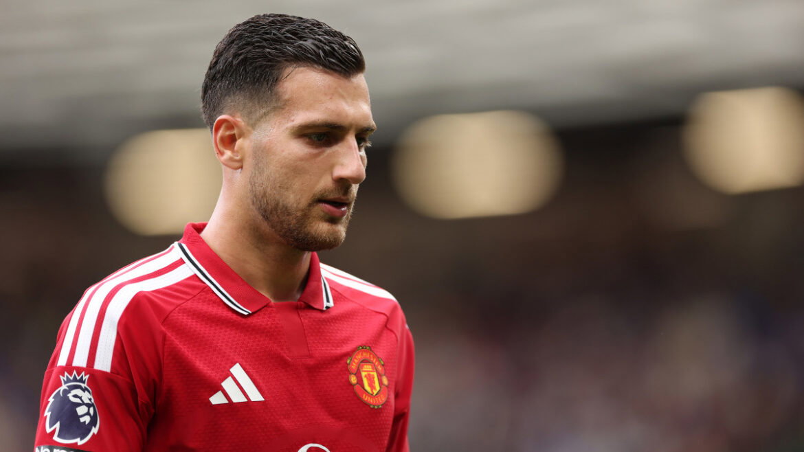 Picture of Diogo Dalot